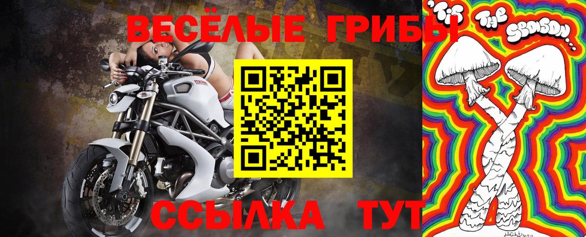 Сальск  Галлюциногенные грибы MAGIC MUSHROOMS  Вход с VPN 